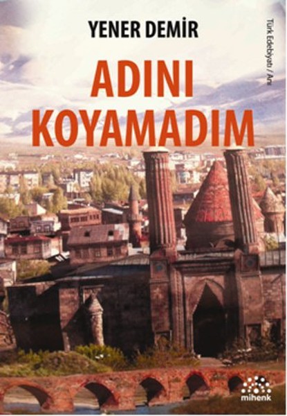 adını koyamadım